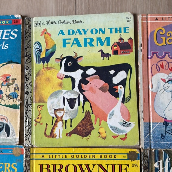 Collection - Multicolor - Picture 4 of 17